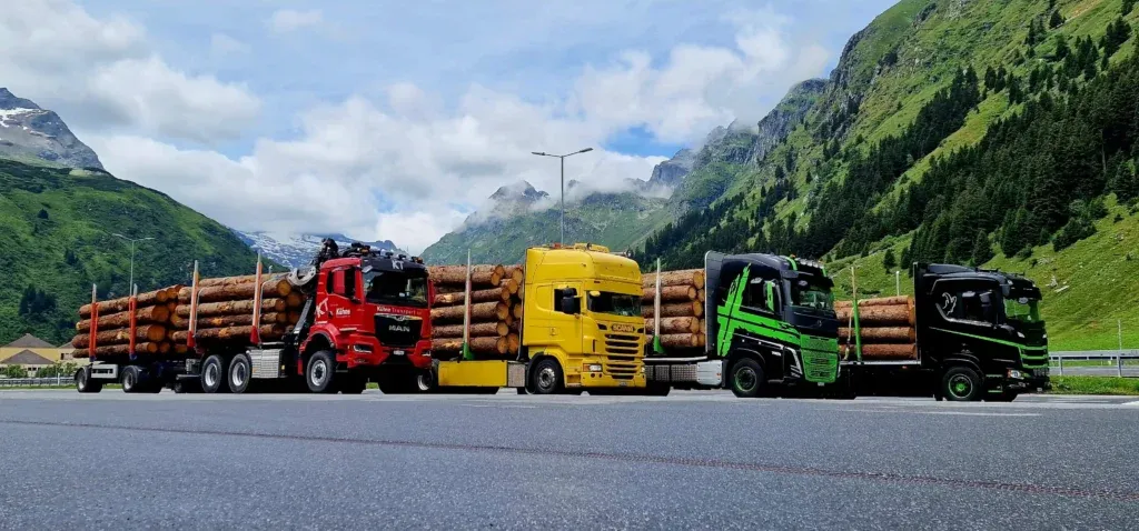 Vier Lastwagen beladen mit Rundholz aus Graubünden – nachhaltiger Holztransport der Nauli AG