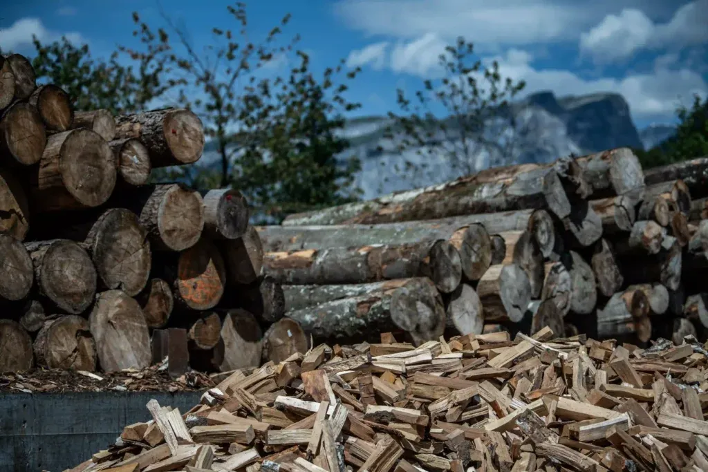 Gestapeltes Rundholz mit Brennholz im Vordergrund – hochwertiges Holz von Nauli AG Graubünden