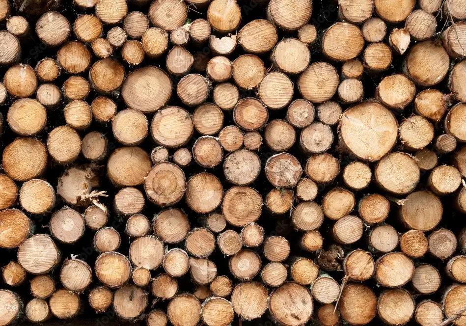 Gestapeltes Rundholz aus Graubünden – hochwertiges Bau- und Industrieholz von Nauli AG